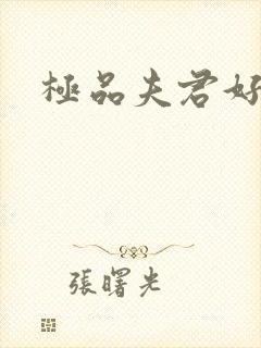 极品夫君好又多