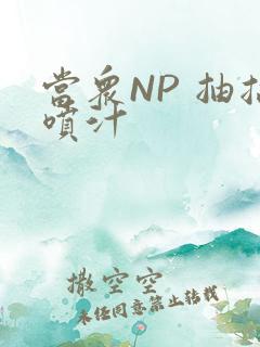 当众NP 抽搐喷汁