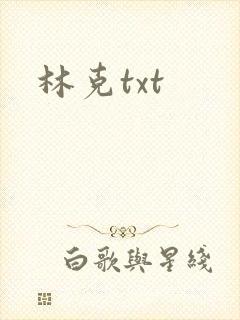 林克txt