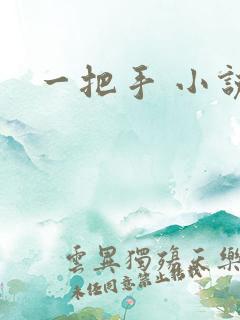 一把手 小说