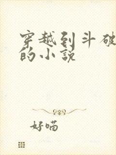穿越到斗破苍穹的小说