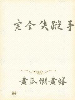 完全失踪手册