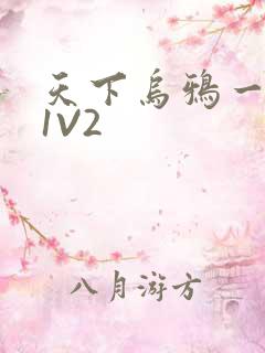 天下乌鸦一般黑1V2