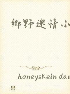 乡野迷情小村医