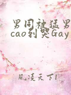 男同被猛男房东cao到哭Gay