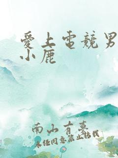 爱上电竞男神林小鹿