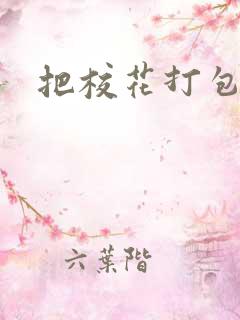 把校花打包带走