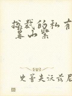 总裁的私有宝贝 暮山紫