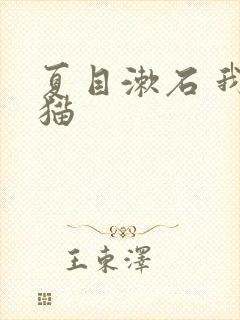 夏目漱石 我是猫