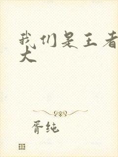 我们是王者立海大