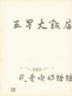 五星大饭店小说