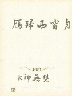 雁归西窗月小说