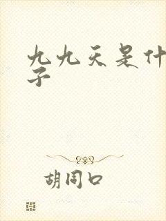 九九天是什么日子