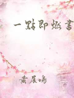 一点即燃书包网