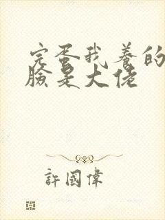 完蛋我养的小白脸是大佬