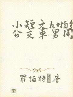 小短文h啪纯肉公交车男同