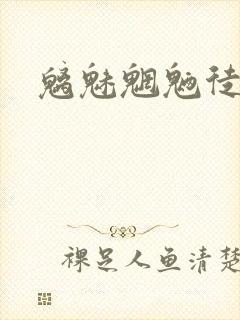 魑魅魍魉徒为尔