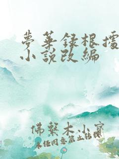 梦华录根据什么小说改编