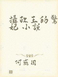 摄政王的惊世嫡妃 小说