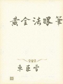 黄金法眼笔趣阁