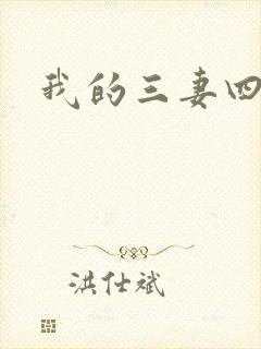 我的三妻四妾
