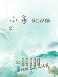 小鸟 acome