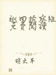 巡回检察组小说免费阅读