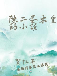 陈二蛋木皇真经的小说