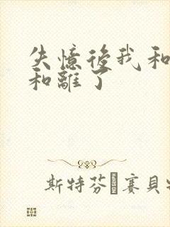 失忆后我和王爷和离了