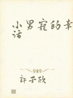 小男宠的幸福生活