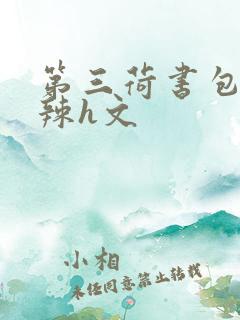 第三荷书包网高辣h文