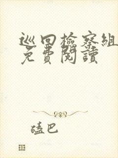 巡回检察组小说免费阅读