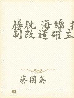 膀胱 海绵 控制改造确立m