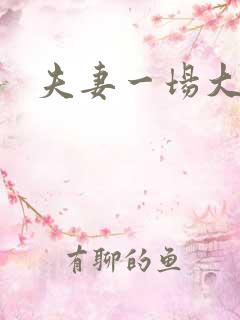 夫妻一场大结局