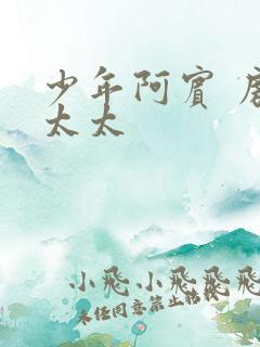 少年阿宾 房东太太