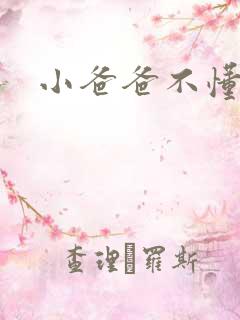 小爸爸不懂爱