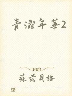 青涩年华2