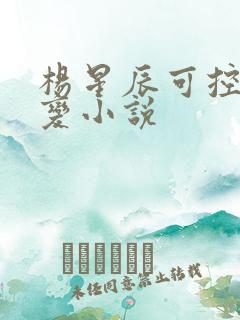 杨星辰可控核聚变小说