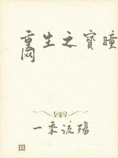 重生之宝瞳书书网