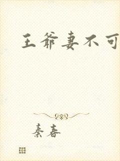 王爷妻不可欺