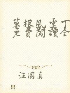 草根风云丁长生免费阅读全本