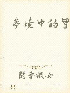 梦境中的冒险家