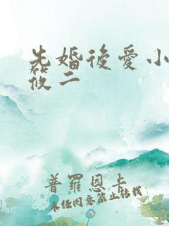 先婚后爱小说梦筱二