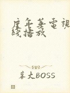 度年华电视剧在线播放