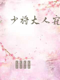 少将大人宠宠我