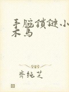 手腕锁链小黑屋木马