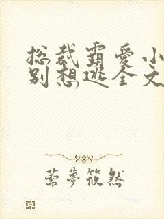 总裁霸爱小娇妻别想逃全文阅读免费