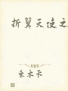 折翼天使之城