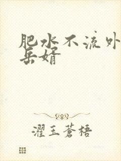 肥水不流外人田岳婿