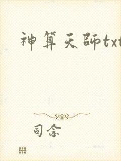 神算天师txt